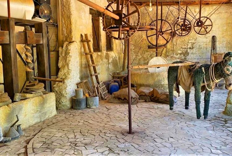 Oleastro Olive Park Mill Museum in Anogyra Village